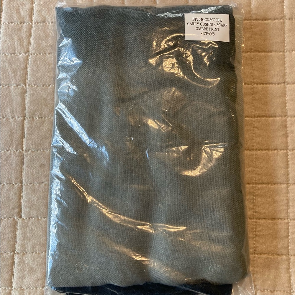 ☘️NWT! Carly Cushnie Ombré Scarf Rachel Zoe - Picture 4 of 5